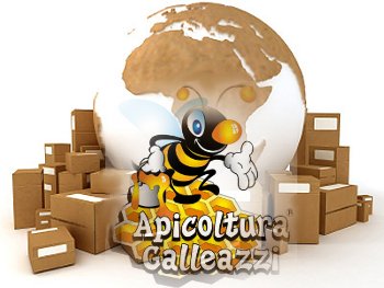 Consegna Miele Apicoltura Galleazzi