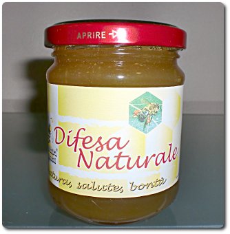 vendita miele